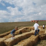 Hay Maze