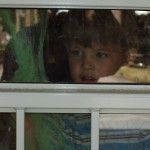 Why are these cobwebs green